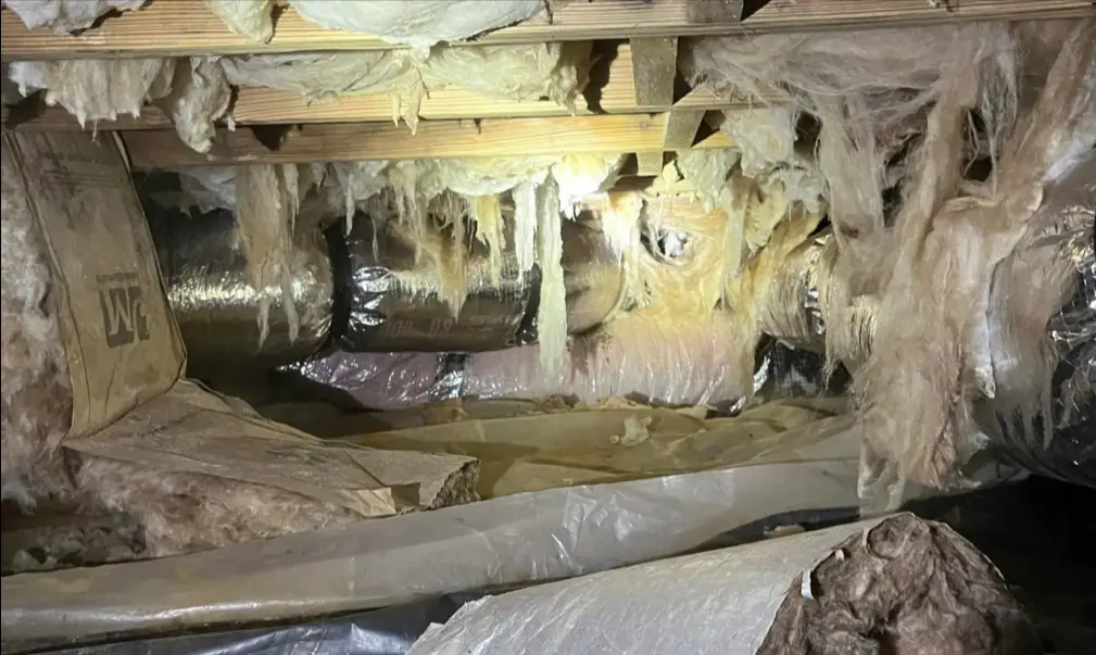 Damaged crawl space with torn insulation, exposed ductwork, and signs of moisture